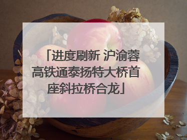 进度刷新 沪渝蓉高铁通泰扬特大桥首座斜拉桥合龙