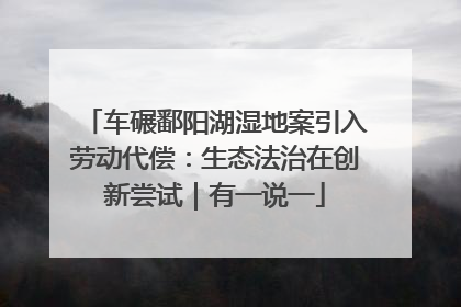 车碾鄱阳湖湿地案引入劳动代偿：生态法治在创新尝试｜有一说一
