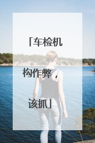 车检机构作弊，该抓