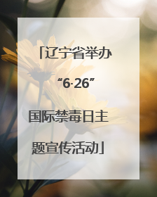 辽宁省举办“6·26”国际禁毒日主题宣传活动