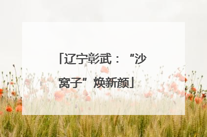 辽宁彰武：“沙窝子”焕新颜