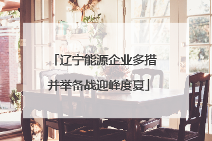 辽宁能源企业多措并举备战迎峰度夏