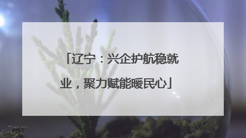 辽宁：兴企护航稳就业，聚力赋能暖民心