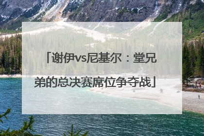 谢伊vs尼基尔：堂兄弟的总决赛席位争夺战