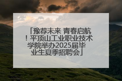 豫荐未来 青春启航！平顶山工业职业技术学院举办2025届毕业生夏季招聘会
