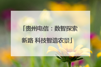 贵州电信：数智探索新路 科技智造农景