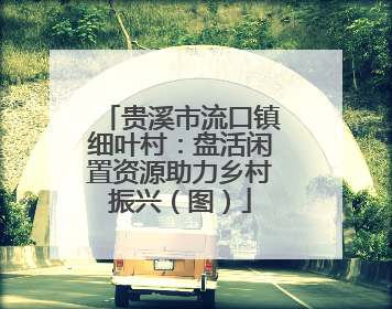贵溪市流口镇细叶村：盘活闲置资源助力乡村振兴（图）