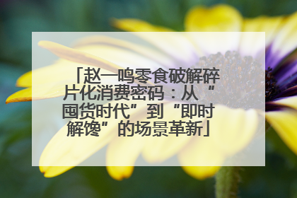 赵一鸣零食破解碎片化消费密码：从“囤货时代”到“即时解馋”的场景革新
