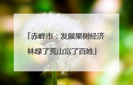 赤峰市：发展果树经济林绿了荒山富了百姓