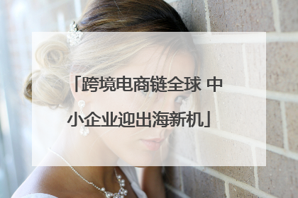跨境电商链全球 中小企业迎出海新机