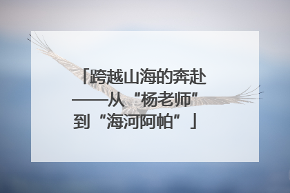 跨越山海的奔赴——从“杨老师”到“海河阿帕”