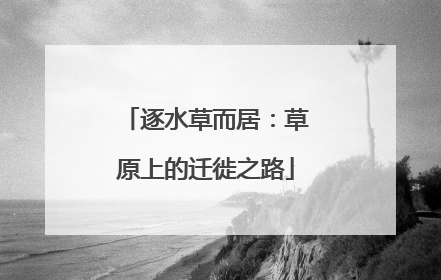 逐水草而居：草原上的迁徙之路