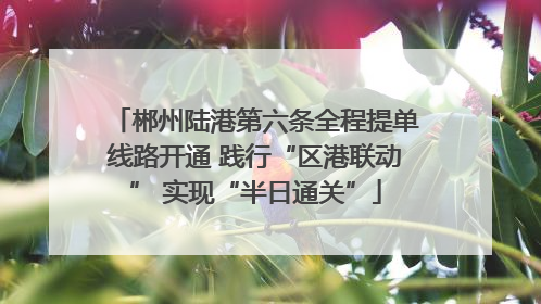 郴州陆港第六条全程提单线路开通 践行“区港联动” 实现“半日通关”