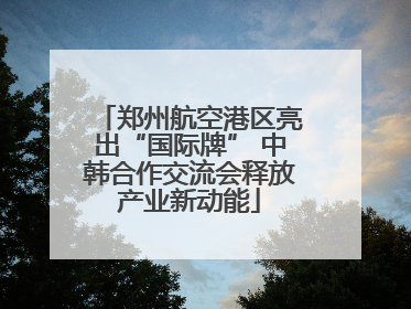 郑州航空港区亮出“国际牌” 中韩合作交流会释放产业新动能