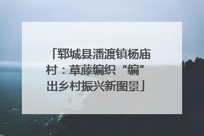 郓城县潘渡镇杨庙村：草藤编织“编”出乡村振兴新图景