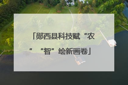 郧西县科技赋“农”“智”绘新画卷