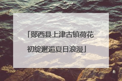 郧西县上津古镇荷花初绽邂逅夏日浪漫