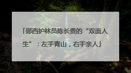 郧西护林员陈长贵的“双面人生”：左手青山，右手亲人