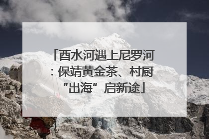 酉水河遇上尼罗河：保靖黄金茶、村厨“出海”启新途