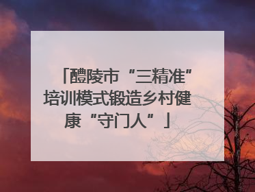 醴陵市“三精准”培训模式锻造乡村健康“守门人”