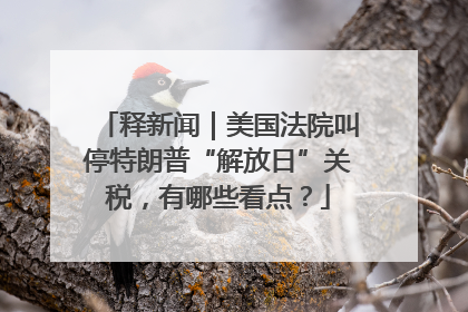 释新闻｜美国法院叫停特朗普“解放日”关税，有哪些看点？