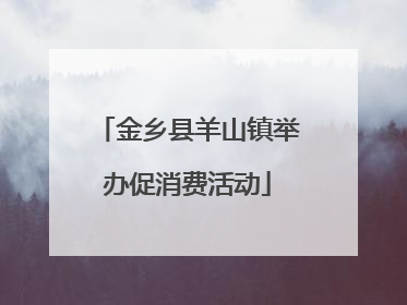金乡县羊山镇举办促消费活动