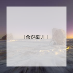 金鸡菊开
