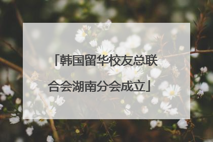 韩国留华校友总联合会湖南分会成立