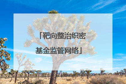 靶向整治织密基金监管网络