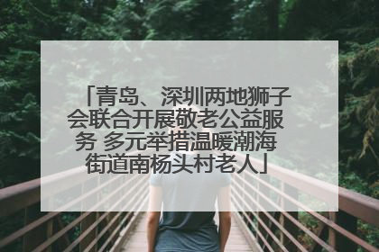 青岛、深圳两地狮子会联合开展敬老公益服务 多元举措温暖潮海街道南杨头村老人