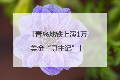 青岛地铁上演1万美金“寻主记”