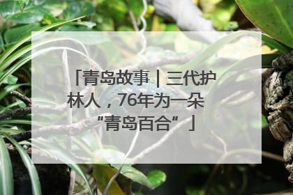 青岛故事｜三代护林人，76年为一朵“青岛百合”
