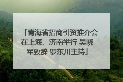 青海省招商引资推介会在上海、济南举行 吴晓军致辞 罗东川主持