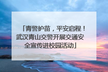 青警护苗，平安启程！武汉青山交警开展交通安全宣传进校园活动