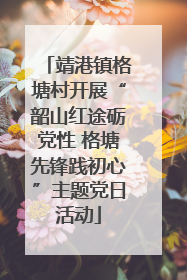 靖港镇格塘村开展“韶山红途砺党性 格塘先锋践初心”主题党日活动