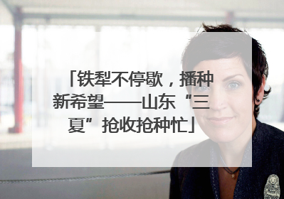 铁犁不停歇，播种新希望——山东“三夏”抢收抢种忙