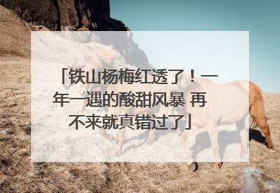 铁山杨梅红透了！一年一遇的酸甜风暴 再不来就真错过了