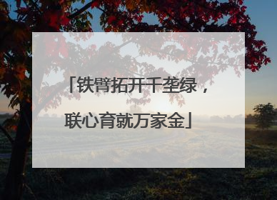 铁臂拓开千垄绿，联心育就万家金