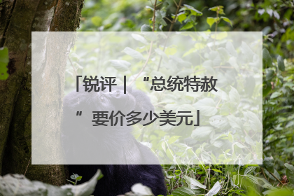 锐评｜“总统特赦”要价多少美元