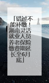 错过不能补缴！湖南灵活就业人员养老保险缴费期延长至6月底