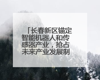 长春新区锚定智能机器人和传感器产业，抢占未来产业发展制高点