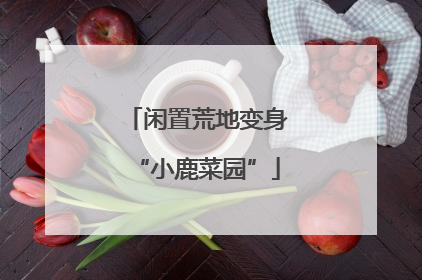 闲置荒地变身“小鹿菜园”