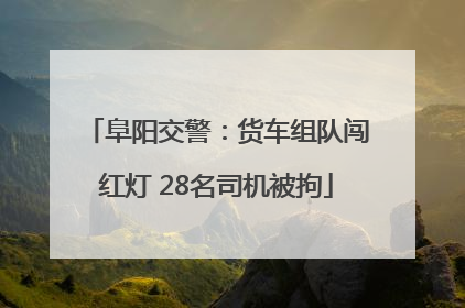 阜阳交警：货车组队闯红灯 28名司机被拘