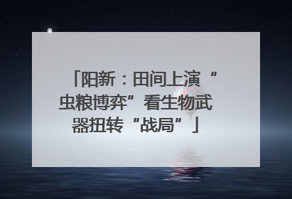 阳新：田间上演“虫粮博弈”看生物武器扭转“战局”