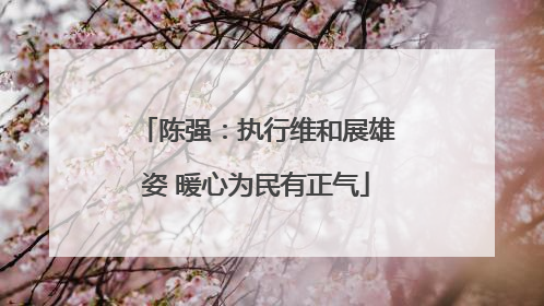 陈强：执行维和展雄姿 暖心为民有正气