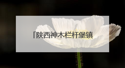 陕西神木栏杆堡镇：一垄瓜苗一垄药香 特色种植激活乡村振兴新动能