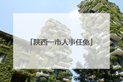 陕西一市人事任免