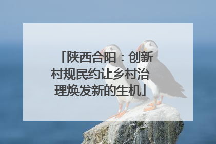 陕西合阳：创新村规民约让乡村治理焕发新的生机