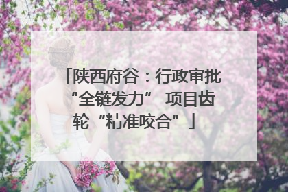 陕西府谷：行政审批“全链发力” 项目齿轮“精准咬合”