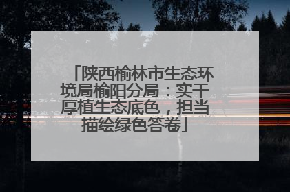陕西榆林市生态环境局榆阳分局：实干厚植生态底色，担当描绘绿色答卷
